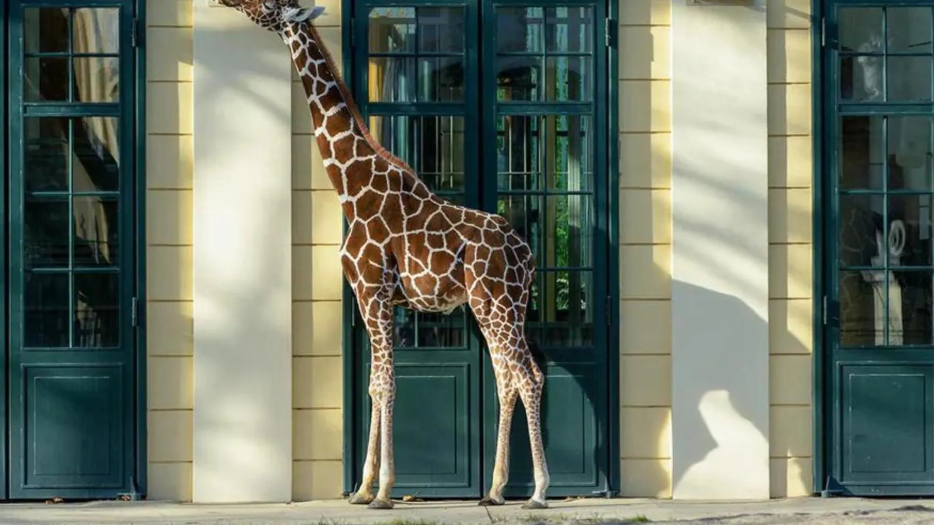Kaiser Lodge by AlpenLuxus mit Pool&Tiefgaragenstellplatz Wien
